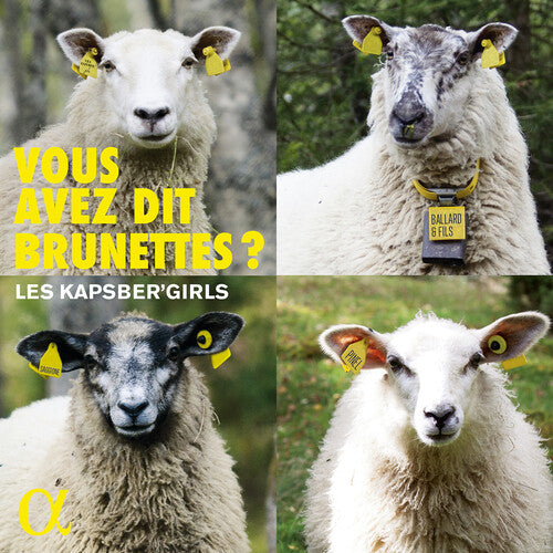 Various Artists - Vous Avez Dit Brunettes