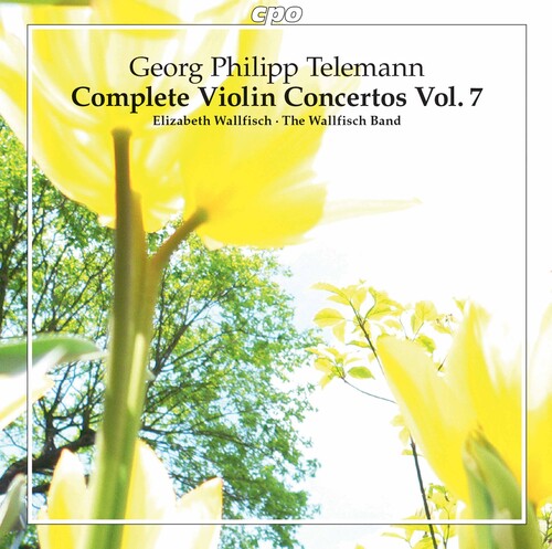 Telemann/ Wallfisch Band - Complete Violin Concertos 7