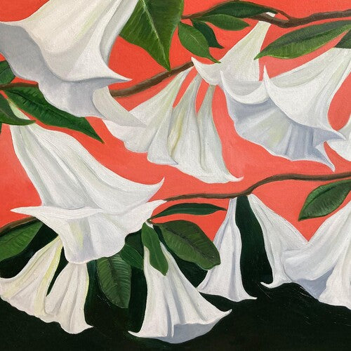 Danny Wilson George - Another Place