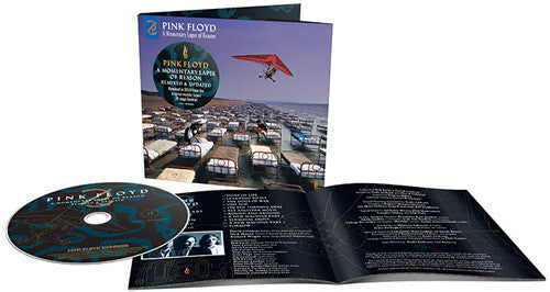 Pink Floyd - A Momentary Lapse Of Reason