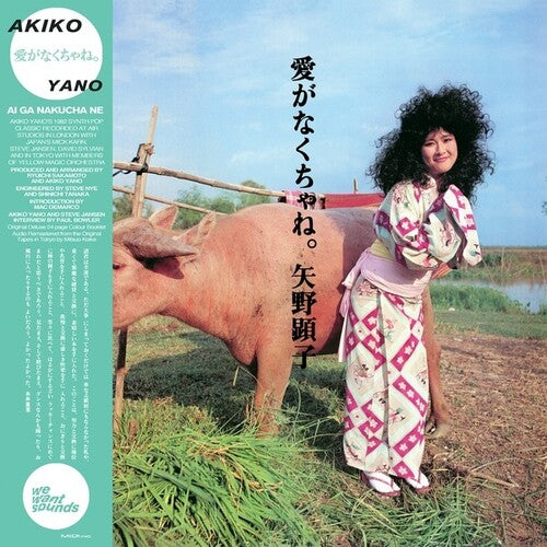 Akiko Yano - Ai Ga Nakucha Ne