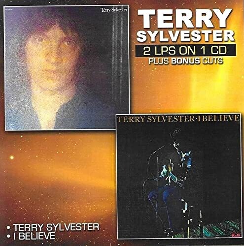 Terry Sylvester - terry sylvester / i believe