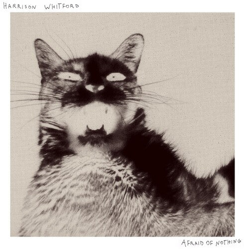 Harrison Whitford - Afraid Of Nothing