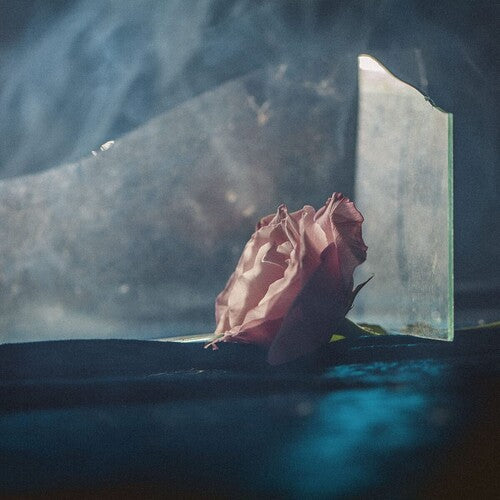 Lee Ranaldo - In Virus Times