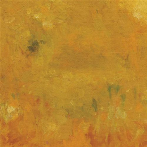 Bevel - Where Leaves Block the Sun