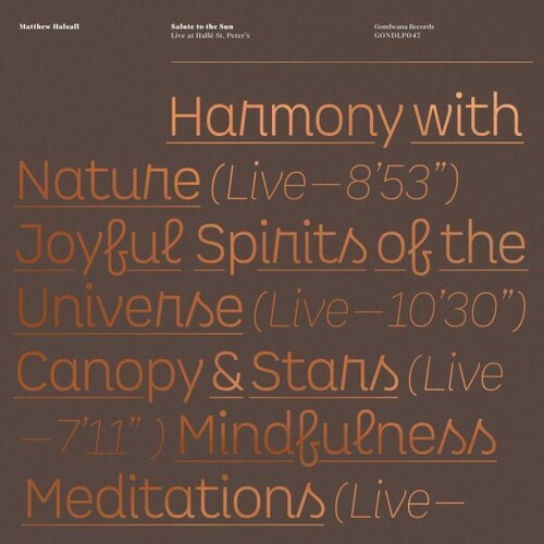 Matthew Halsall - Salute To The Sun Live At Halle St. Peter's