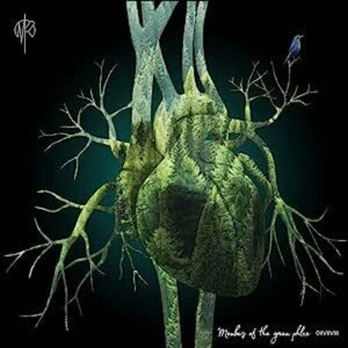 Martin Rubashov - Members Of The Green Phlox