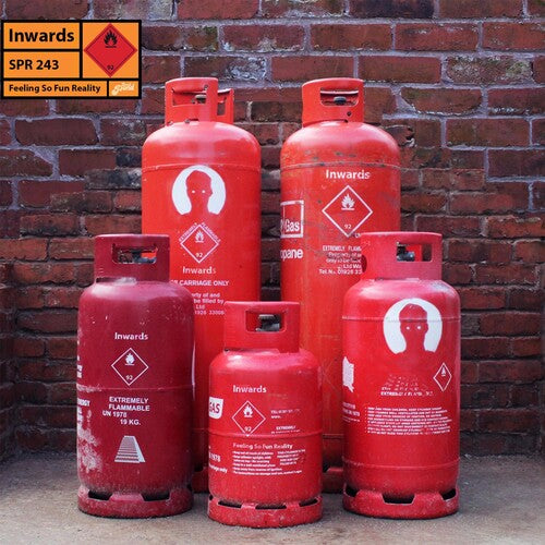 Inwards - Feeling So Fun Reality