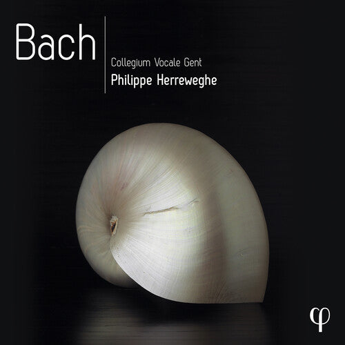 J.S. Bach / Herreweghe/ Collegium Vocale Gent - Bach