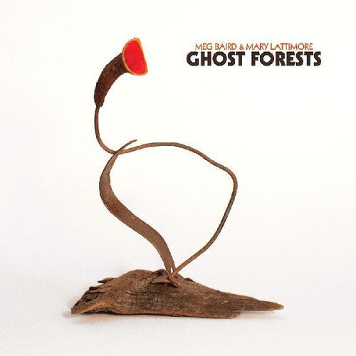 Meg Baird / Mary Lattimore - Ghost Forests