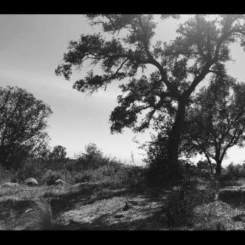 Zoh Amba - O Sun