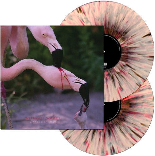 Without Waves - Comedian