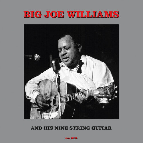 Big Williams Joe - And His Nine String Guitar (180gm Vinyl)