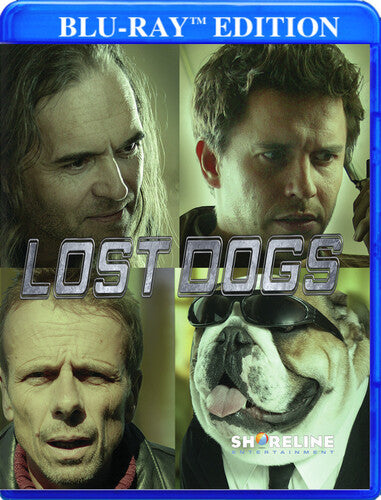 Lost Dogs