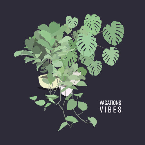 Vacations - Vibes