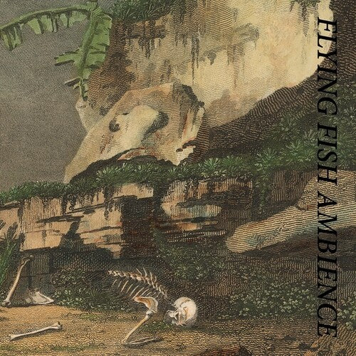 Rainforest Spiritual Enslavement - Flying Fish Ambience