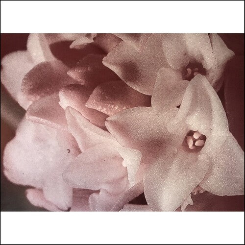 Masonna - Masonna Vs Banamara