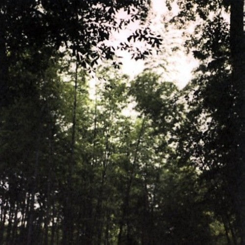 Jetenderpaul - Wooden Spires