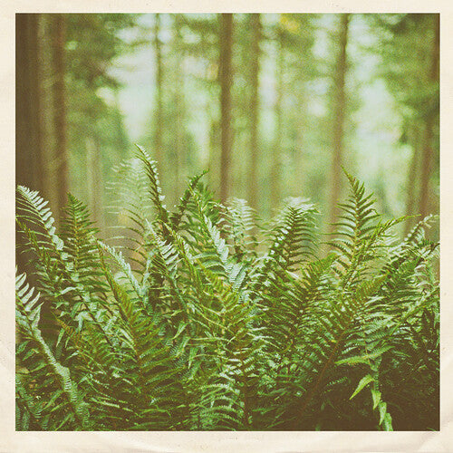 mtbrd - Just Visiting
