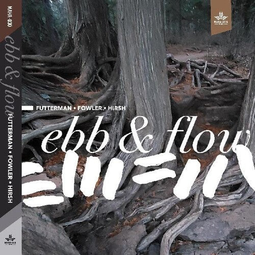 Joel Futterman / Chad Fowler / Steve Hirsh - Ebb & Flow
