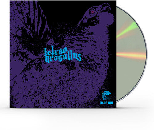 Tetrao Urogallus - Tetrao Urogallus