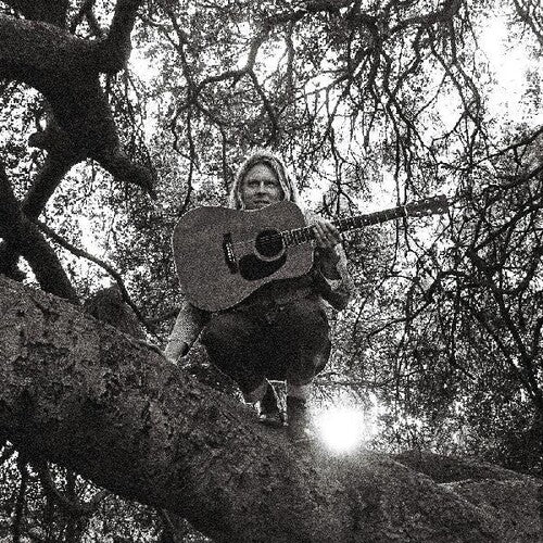Ty Segall - Hello Hi