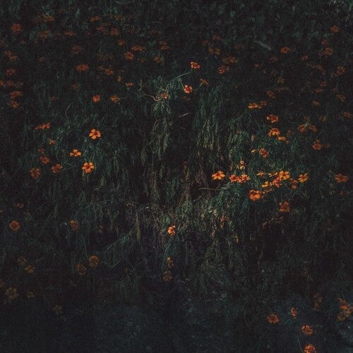 Compro Oro - Estarantos