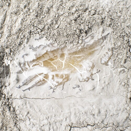 Jonathan Kawchuk - Everywhen