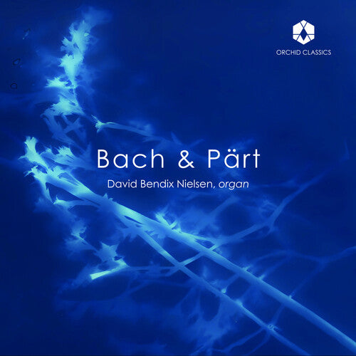 J.S. Bach / Nielsen - Bach & Part