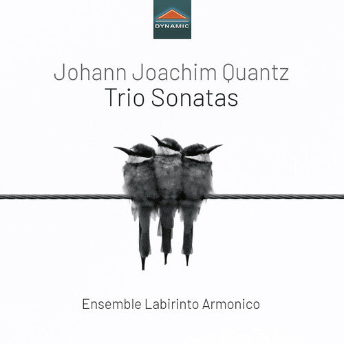 Ensemble Labirinto Armonico - Trio Sonatas