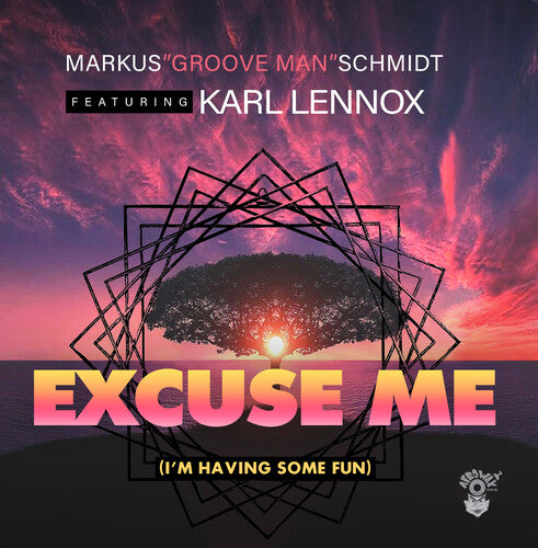 Markus Schmidt - Excuse Me (I'm Having Some Fun)