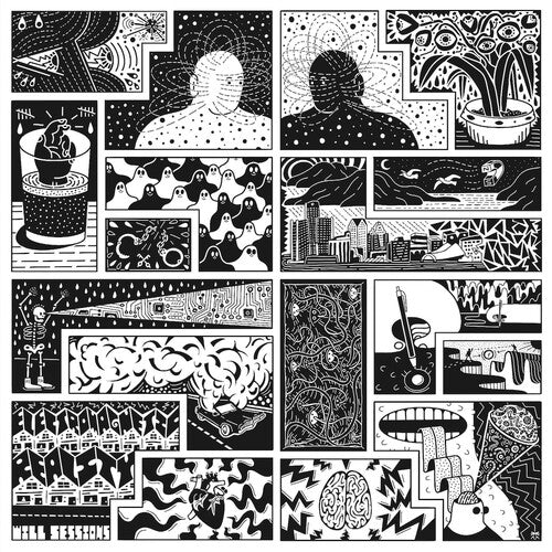 Will Sessions - Electromagnetic Reality