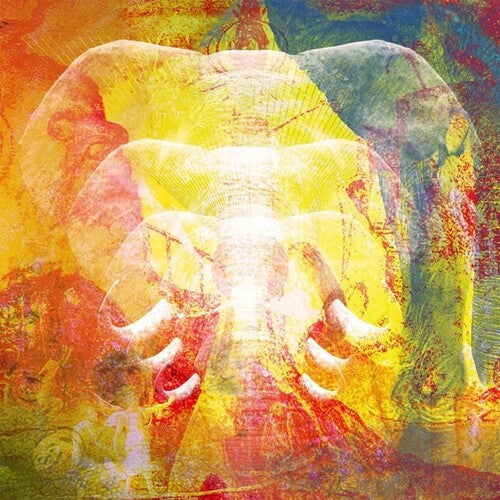 Join the Din - Elephants In Autumn Rage