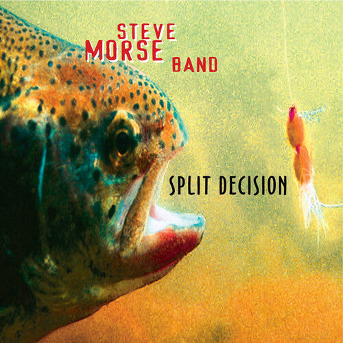 Steve Morse Band - Split Decision
