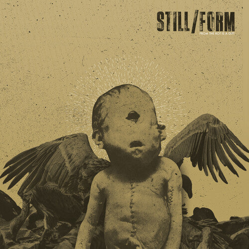 Still/ Form - From The Rot Is A Gift