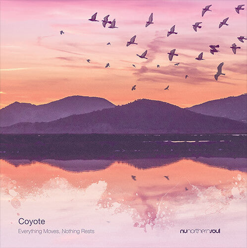 Coyote - Everything Moves Nothing Rests