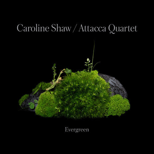 Caroline Shaw & Attacca Quartet - Caroline Shaw: Evergreen