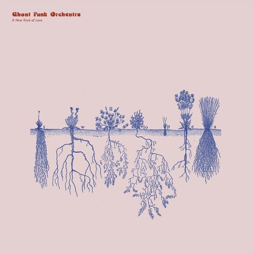 Ghost Funk Orchestra - A New Kind of Love