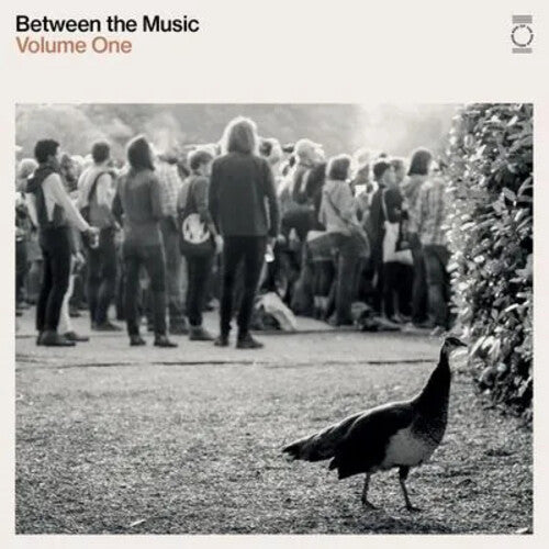 Various Artists - End Of The Road Presents: Between The Music / Various - White Colored Vinyl