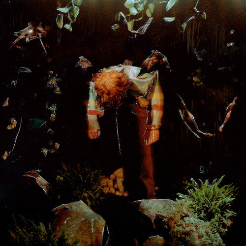 Cavetown - Worm Food