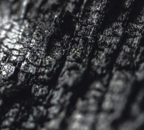 Parallel Worlds - Plector