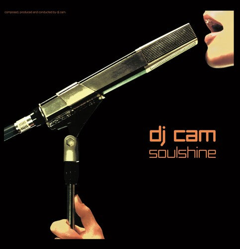 DJ Cam - Soulshine