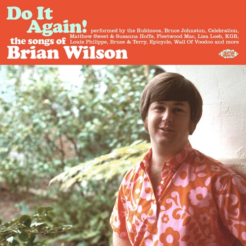 Various Artists - Do It Again! The Songs Of Brian Wilson / Various