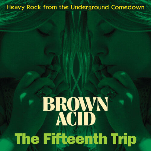 Various Artists - Brown Acid - The Fifteenth Trip (Various Artists)