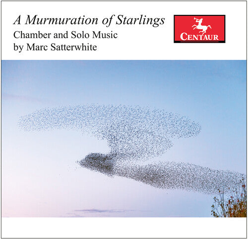 Kathleen Karr - A Murmuration of Starlings