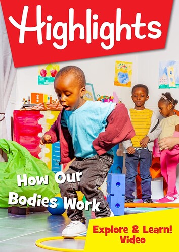 How Our Bodies Work