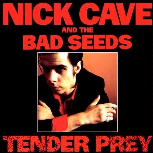 Nick Cave & Bad Seeds -  Tender Prey