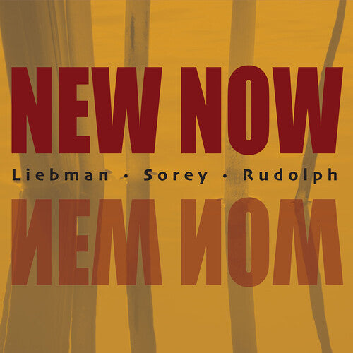 Dave Liebman / Adam Rudolph / Tyshawn Sorey - New Now