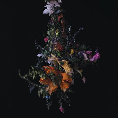 Big/ Move - Nature Morte