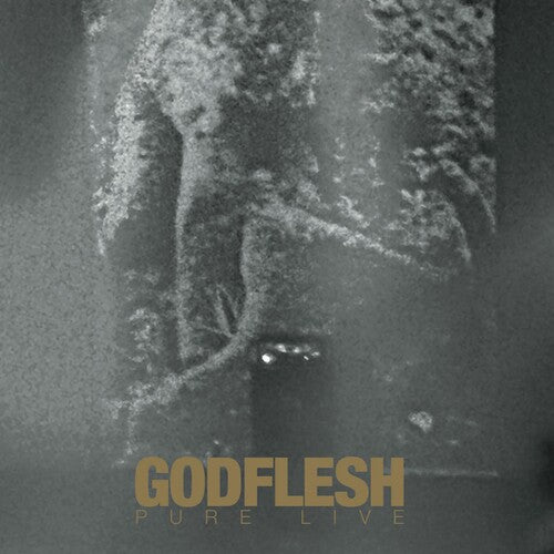 Godflesh - PURE LIVE